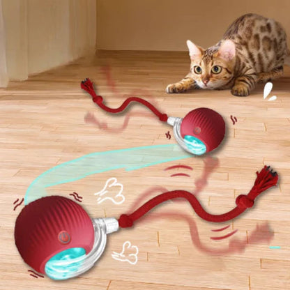 PELOTA INTERACTIVA PARA GATOS + ENVÍO GRATIS