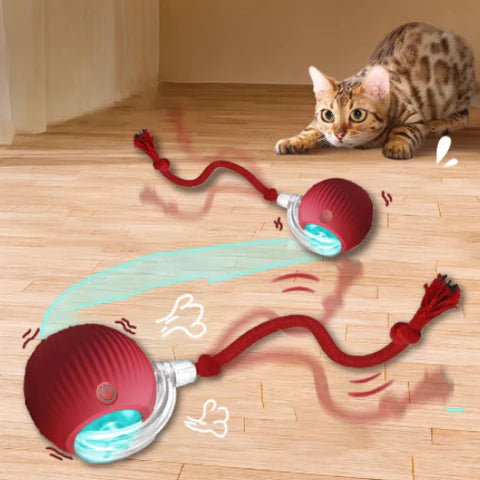 PELOTA INTERACTIVA PARA GATOS + ENVÍO GRATIS