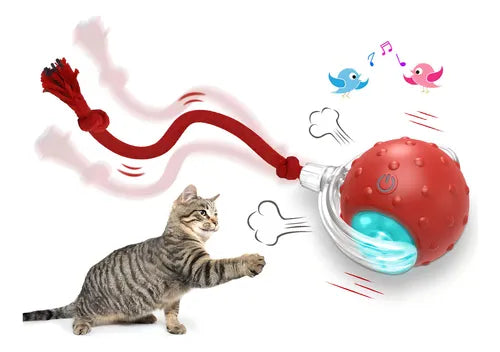 PELOTA INTERACTIVA PARA GATOS + ENVÍO GRATIS