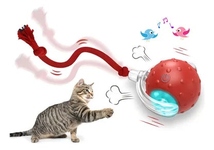 PELOTA INTERACTIVA PARA GATOS + ENVÍO GRATIS